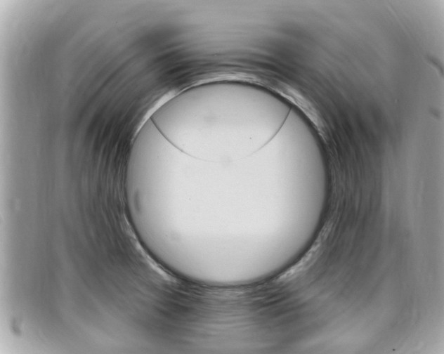 X0000099321377200805020744