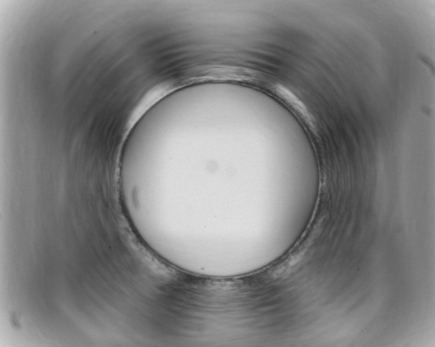 X0000099321378200805020744