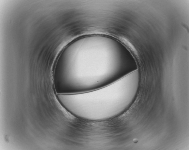 X0000099321380200805020744