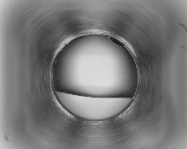 X0000099321381200805020744