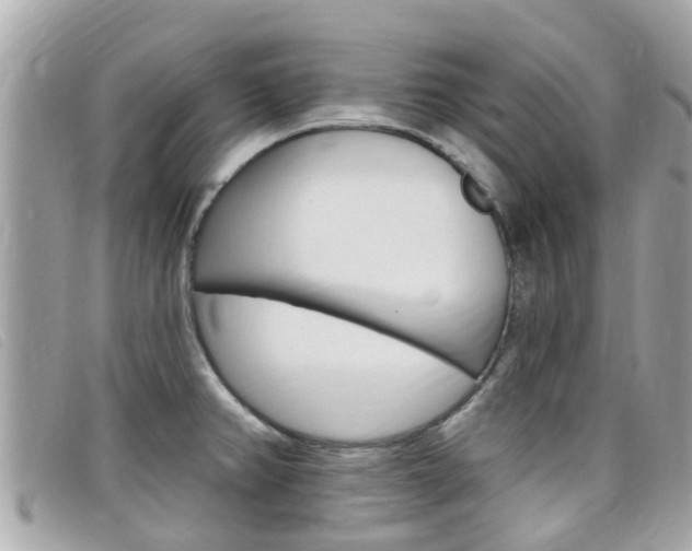X0000099321382200805020744