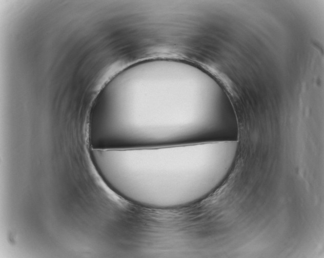 X0000099321383200805020744