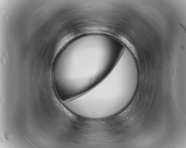 X0000099321384200805020744