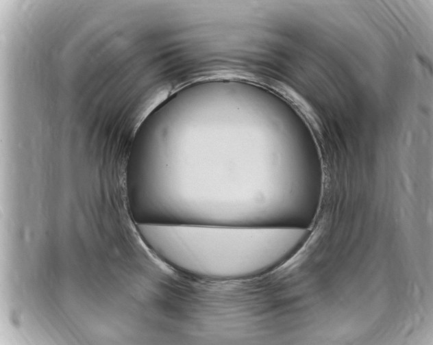 X0000099321385200805020744