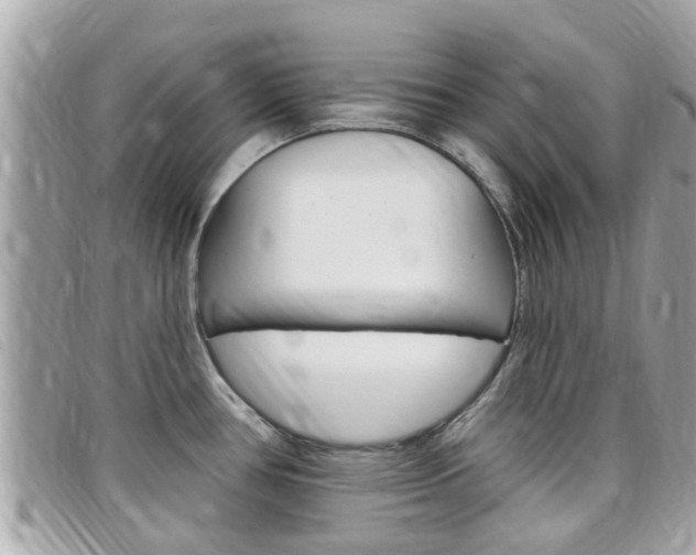 X0000099321386200805020744