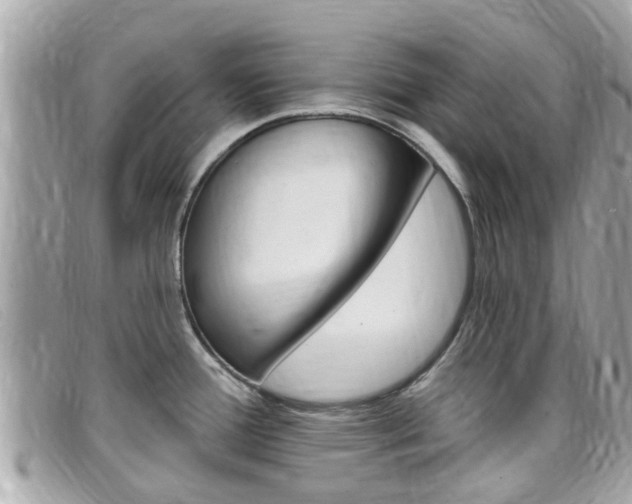 X0000099321388200805020744