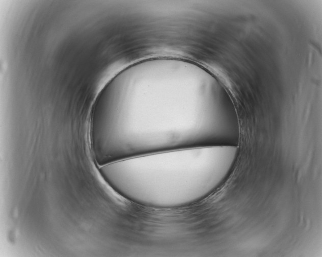 X0000099321391200805020744