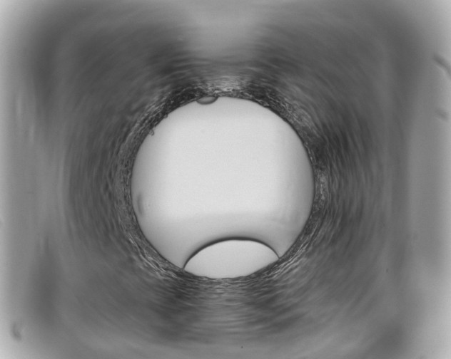 X0000099321393200805020743