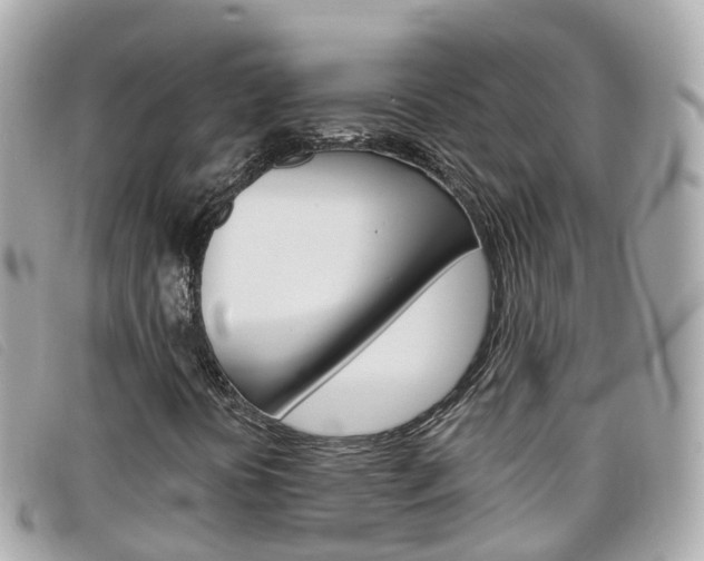 X0000099321394200805020743