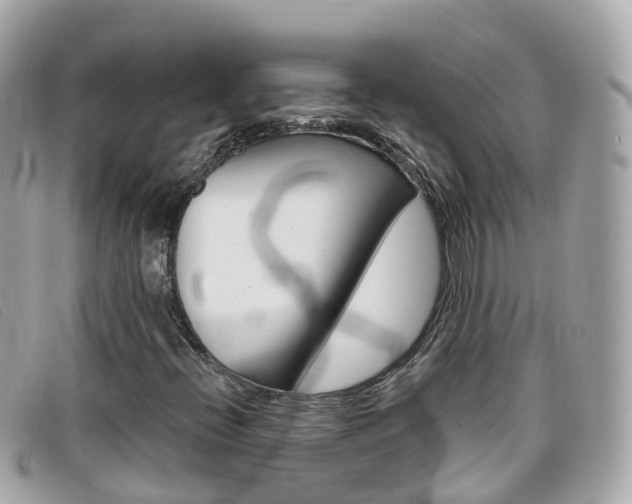 X0000099321396200805020743