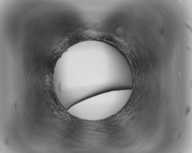 X0000099321397200805020743