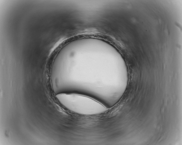 X0000099321400200805020743