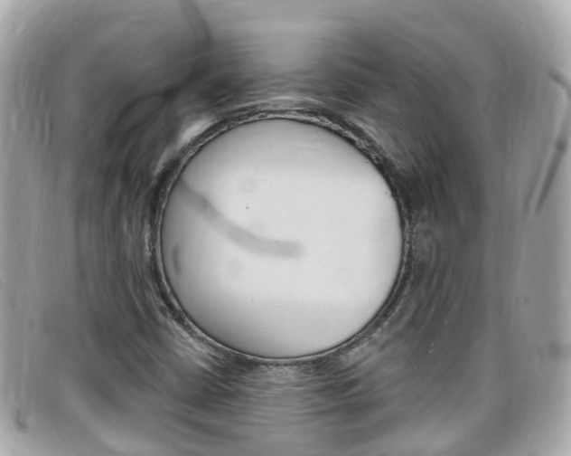 X0000099321402200805020743