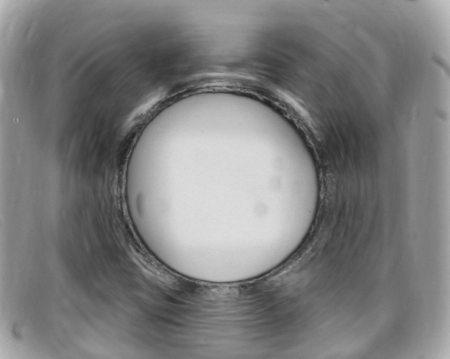 X0000099321403200805020743