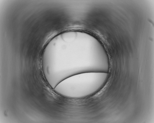 X0000099321405200805020743