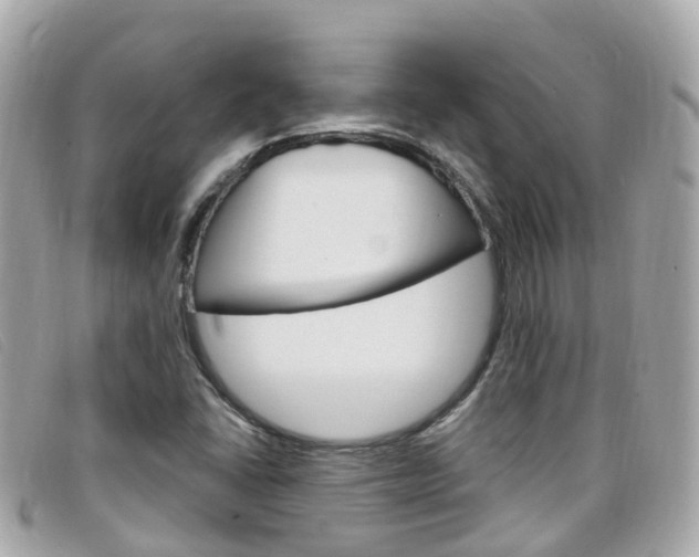 X0000099321406200805020743