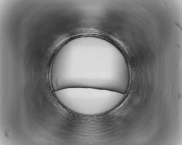 X0000099321407200805020743