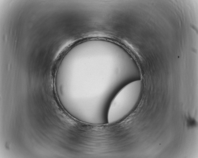 X0000099321408200805020743