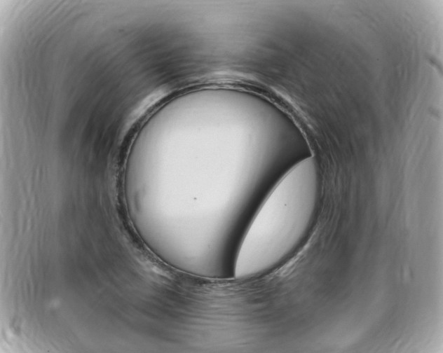 X0000099321410200805020743