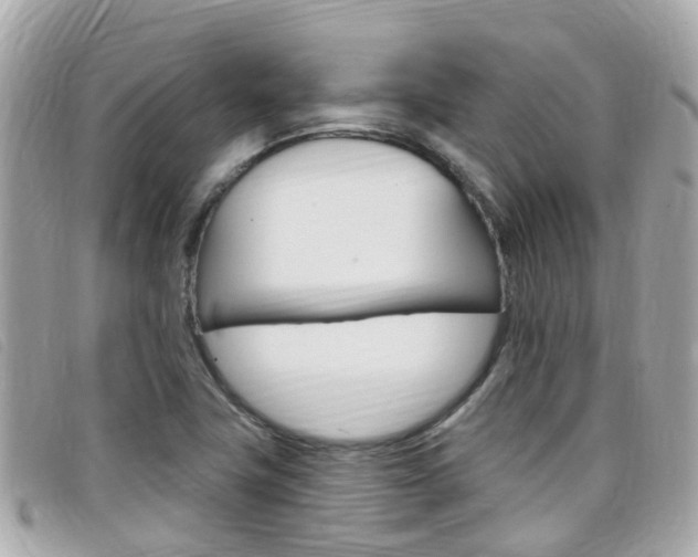 X0000099321411200805020743