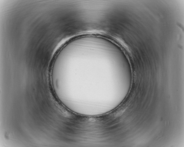 X0000099321412200805020743