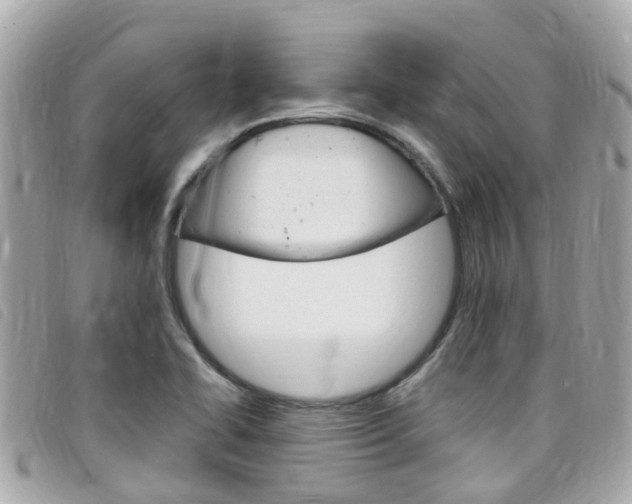 X0000099321414200805020743