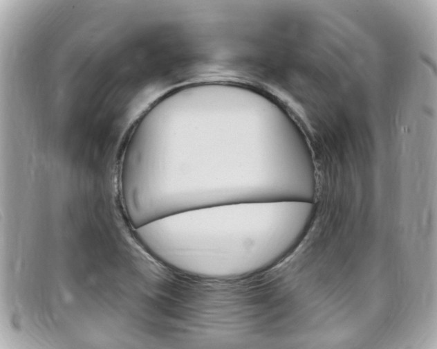 X0000099321415200805020743