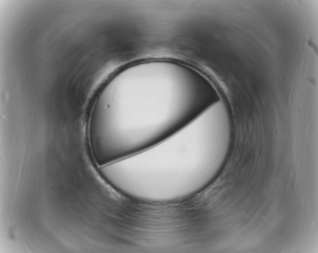 X0000099321416200805020743