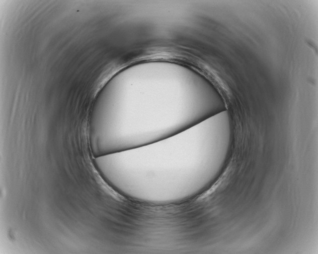 X0000099321417200805020743