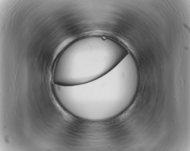 X0000099321418200805020743