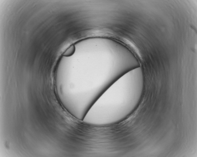 X0000099321419200805020743