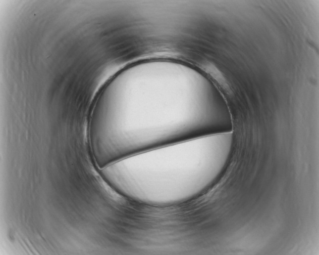 X0000099321420200805020743