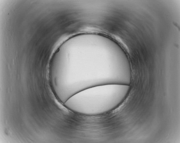 X0000099321421200805020743