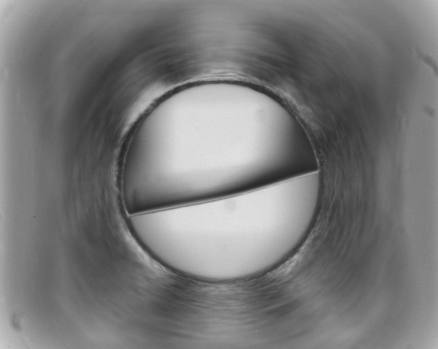 X0000099321422200805020743