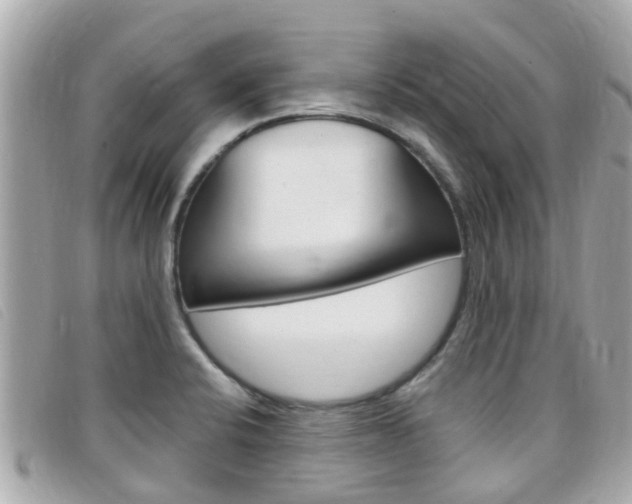 X0000099321424200805020743