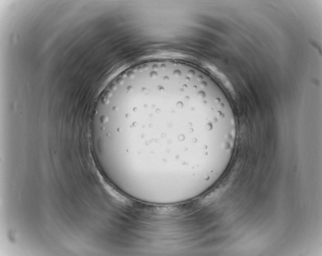 X0000099321425200805020743