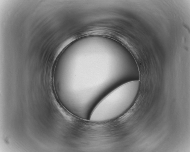 X0000099321426200805020743
