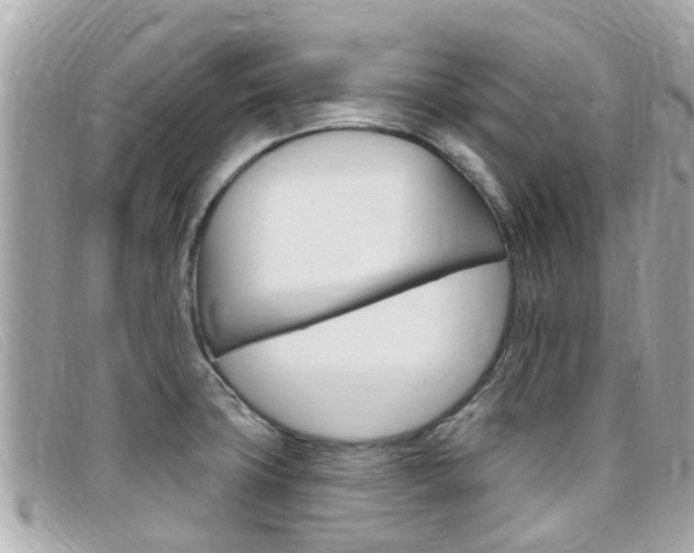 X0000099321427200805020744