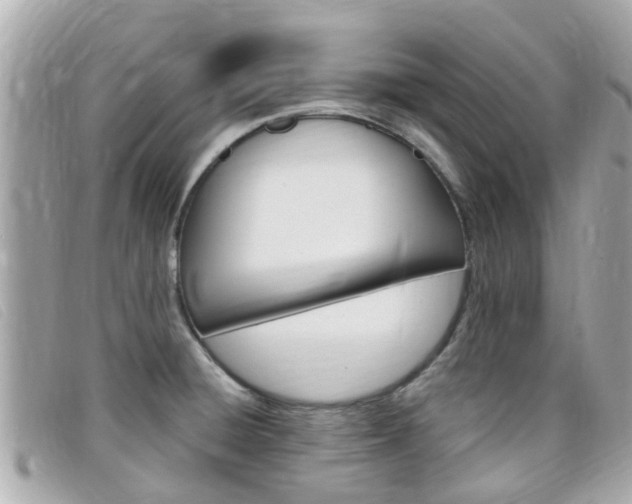 X0000099321428200805020744