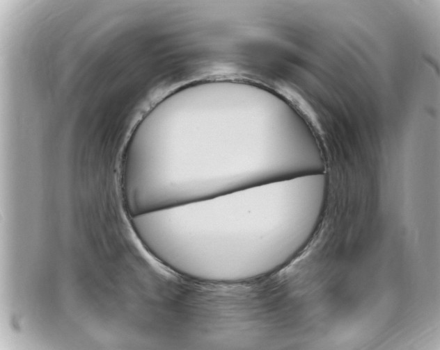 X0000099321429200805020744