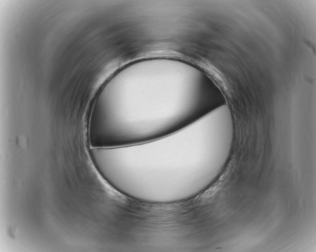 X0000099321430200805020744