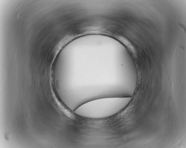 X0000099321431200805020744