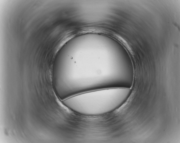 X0000099321433200805020744