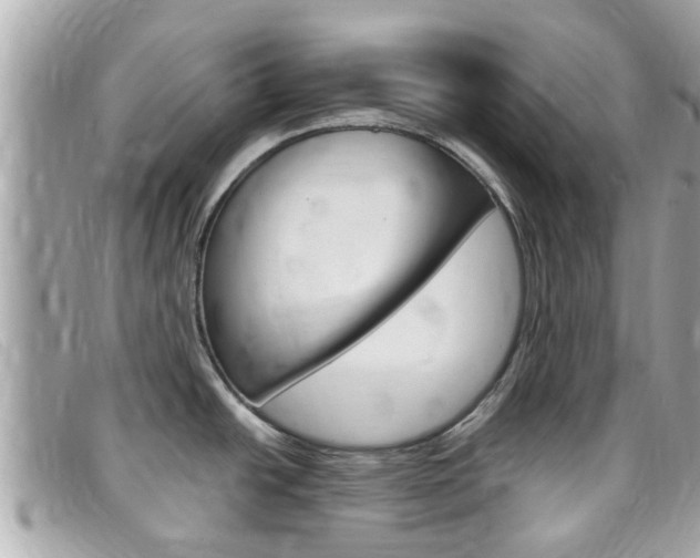 X0000099321438200805020744