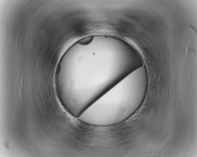 X0000099321440200805020744