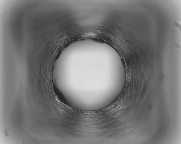 X0000099321441200805020743