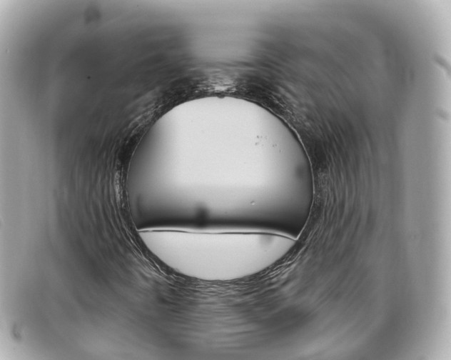 X0000099321442200805020743