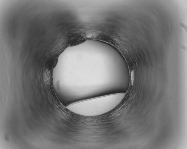 X0000099321443200805020743