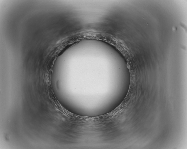 X0000099321445200805020743