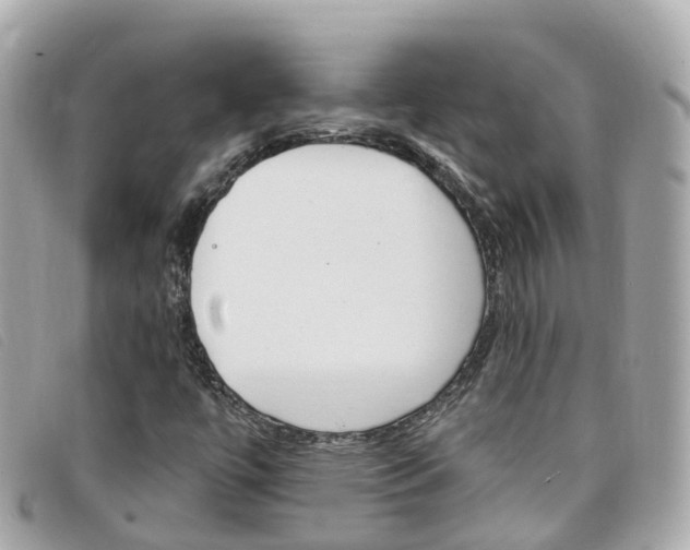 X0000099321447200805020743